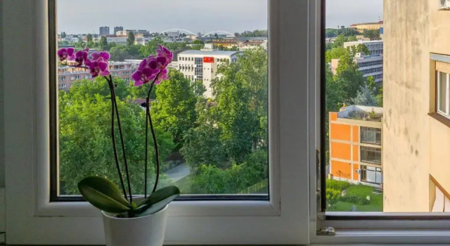 Sweet Home Danube Liman Apartment, Забронировать Апартаменты/квартира Нови-Сад Воеводина