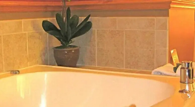 Люкс Settlement Inn & Lavender Spa