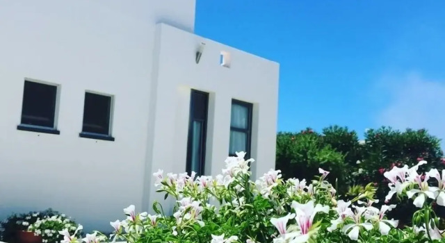 Номер Standard B&B Torrefano