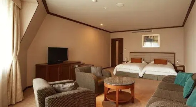 Двухместный номер Deluxe с видом на горы Hotel de Yama, Hakone Lake Side