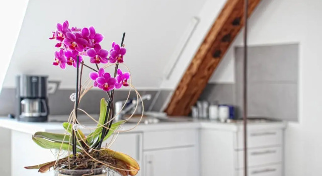 Студия Standard Milchhof Apartments Aschaffenburg