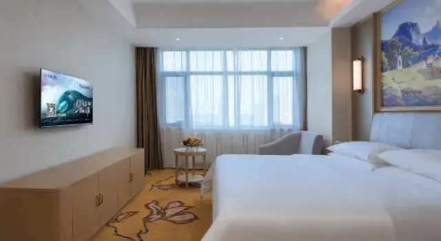 Люкс Superior Vienna International Hotel (Baotou Airport)