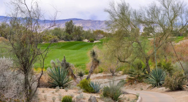 Люкс с 2 комнатами с балконом и с видом на горы Residence Inn Palm Desert