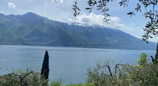 Apartment Villa in Limone Sul Garda