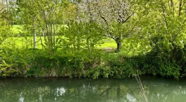 Семейный номер Standard Relais de la Venise verte