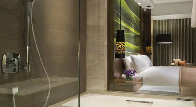 Двухместный номер Deluxe с видом на город Marco Polo Ortigas Manila