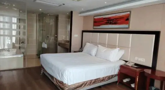 Люкс Vienna International Hotel - Expo Branch
