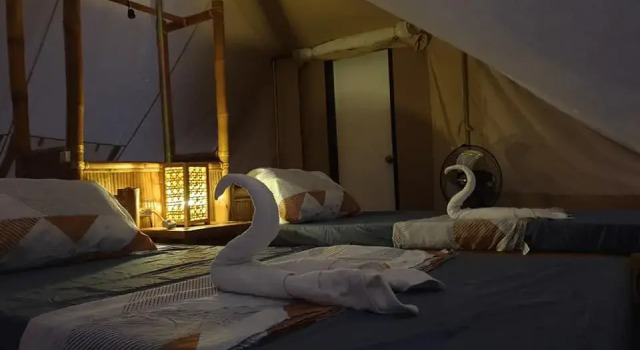 Номер Economy The Acacia Glamping Park