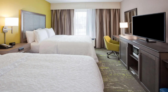 Номер Standard Hampton Inn & Suites Sioux City South, IA