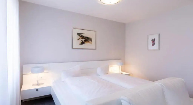Номер Superior Hotel Adler - Weil am Rhein