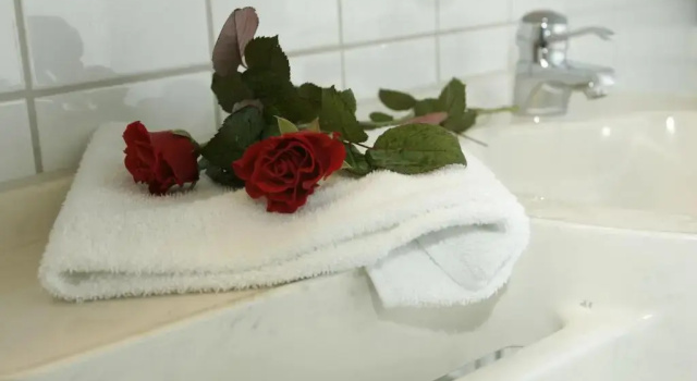 Двухместный номер Standard Grand Hotel Falkenberg
