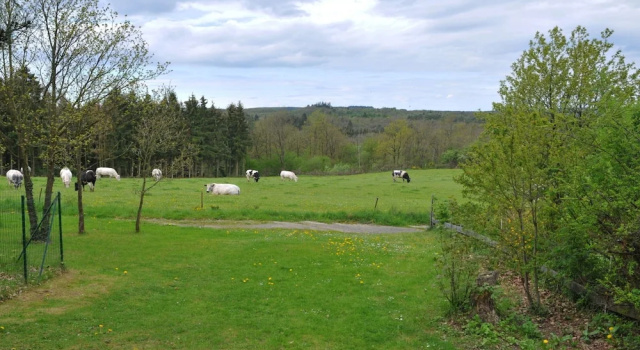 Коттедж Inviting Holiday Home, Near Cave of Lorette, Namur and Parc Naturel Rgional des Ardennes
