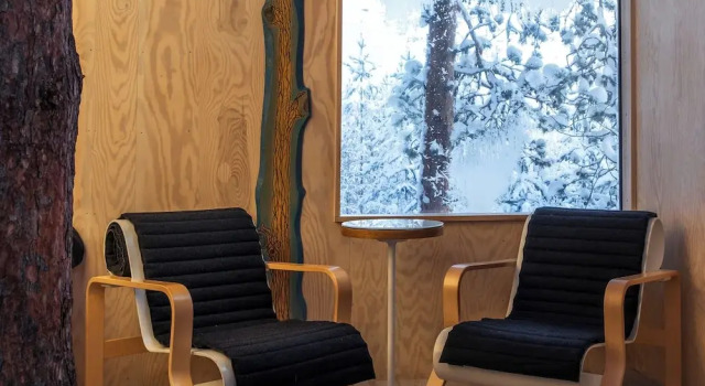 Капсула Treehotel