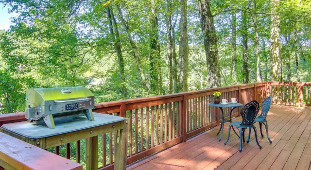 Коттедж Hendersonville Creekside Cabin: Near Dupont Forest
