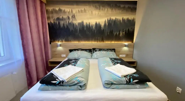 Двухместный номер Standard Hotel U Kociana