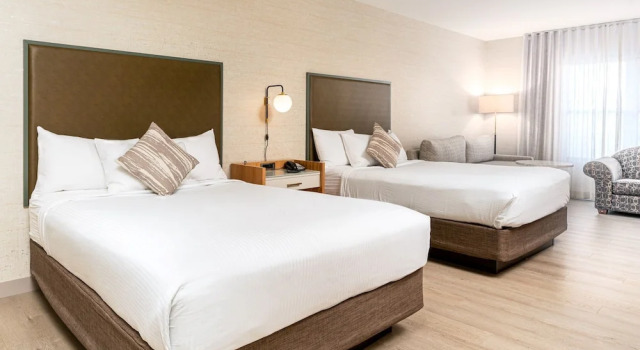 Четырёхместный номер Standard Midnight Rose & McGills Hotel & Casino