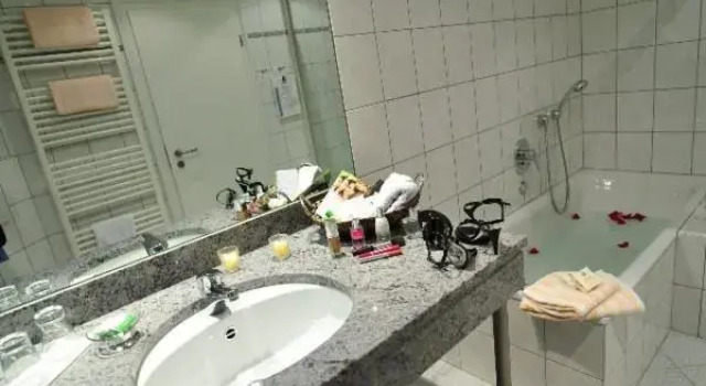 Одноместный номер Standard Hotel Tannenhof