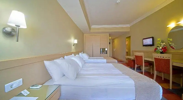 Номер Standard SV Business Hotel Diyarbakır