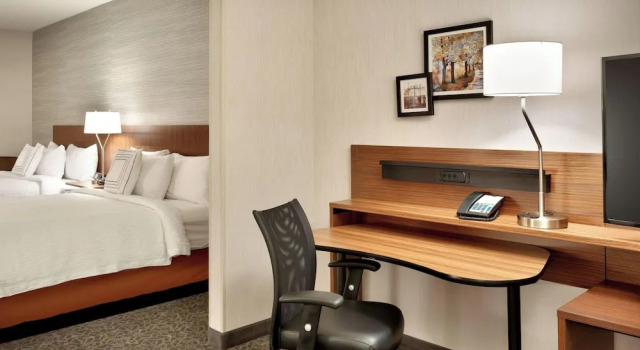 Полулюкс c 1 комнатой Fairfield Inn & Suites by Marriott Springfield North