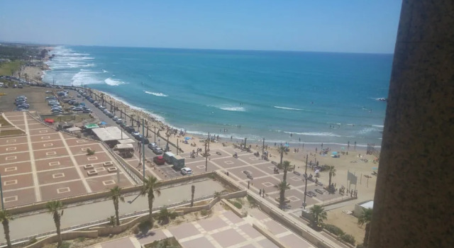 Estudio Almog Studio