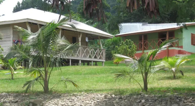 Кровать в общем номере Cocoa Village Guesthouse