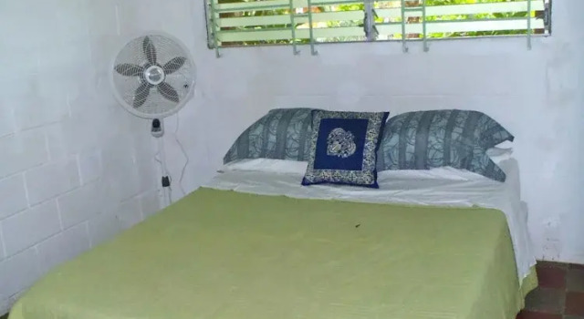 Номер Standard Hammock plantation