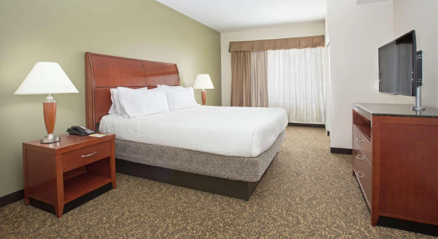Двухместный номер Premium Hilton Garden Inn Phoenix/Avondale