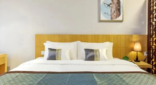 Двухместный люкс Novo Hotel Chongqing