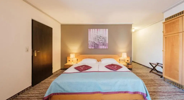 Двухместный номер Comfort Hotel Pelikan