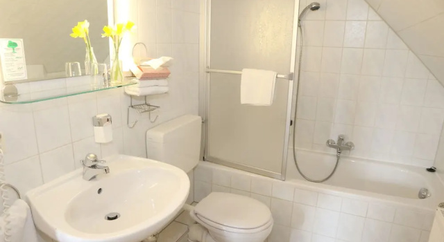 Двухместный номер Standard Landhotel & Reiterhof Schumann