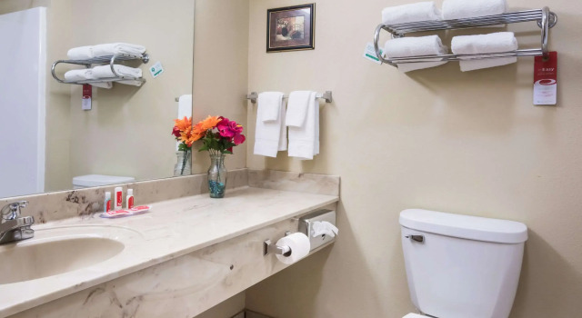 Двухместный номер Standard Econo Lodge Inn & Suites Rockmart
