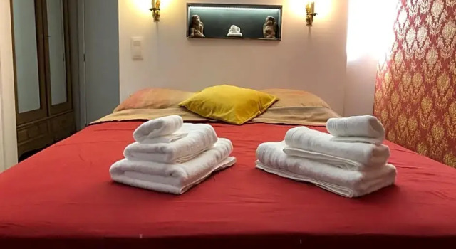 Love Nest Versailles - Unique Louis XIV decoration - Calm location right IN city center