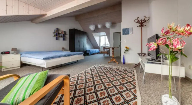 Двухместный номер Standard MyBednBreakfast in Bottmingen