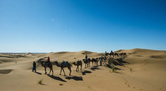 Bivouac les nomades foum zguid, Rezervasyon Kamp Alanı Souss-Massa-Draa kamp ve glamping, Kamp Alanı