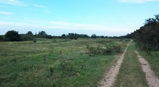 Коттедж Het Duinhuisje