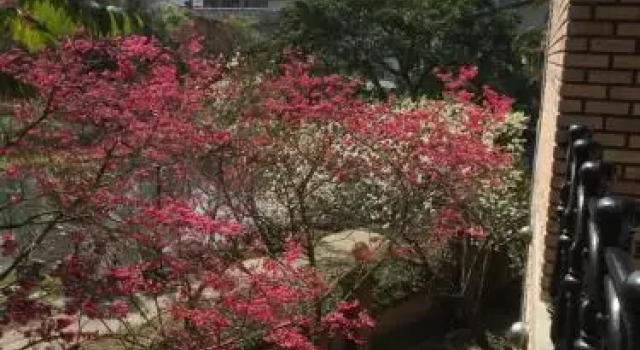 Yu Ho Yuan Lesiure Homestay, Réserver Hôtel Nanzhuang Miaoli County