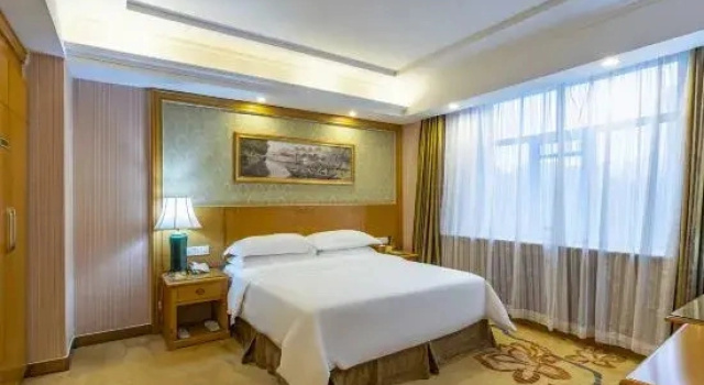 Двухместный люкс Deluxe с видом на улицу Vienna Hotel