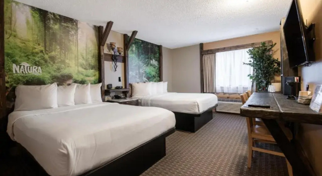 Люкс Deluxe Natura Treescape Resort