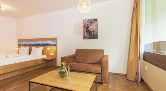 Одноместный номер Standard с видом на сад Alpenhotel Dachstein