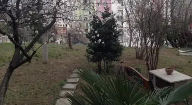 55z Zhiuli Shartava Street