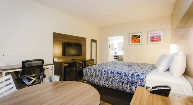 Двухместный номер Standard Palace Inn Blue I-45 & College Ave