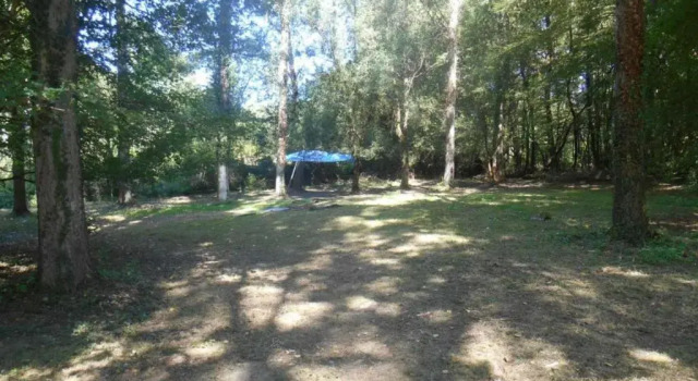 Gîte Souvigny-de-Touraine, 2 pièces, 2 personnes - FR-1-381-455, Book Hotel Souvigny-de-Touraine Frankrig