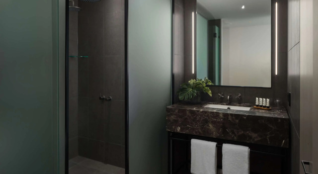 Двухместный номер Standard Rydges Campbelltown
