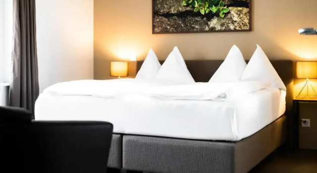 Двухместный номер Standard с видом на окрестности Alpenblick Weggis - Panorama & Alpen Chic Hotel
