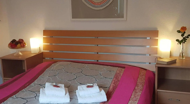 RheinRiver Guesthouse - Direkt am Rhein