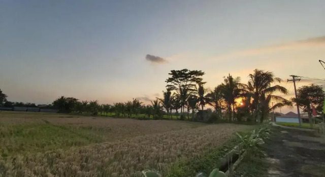 Двухместный номер Superior Ayuna Family Ubud