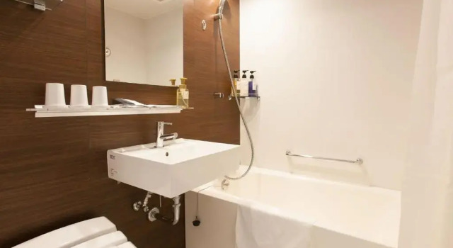 Одноместный номер Deluxe Henn na Hotel Tokyo Ginza