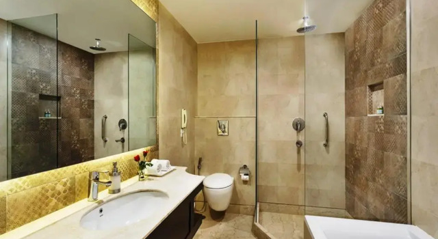Полулюкс La Place Sarovar Portico