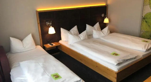Трёхместный номер Standard Hotel Linde