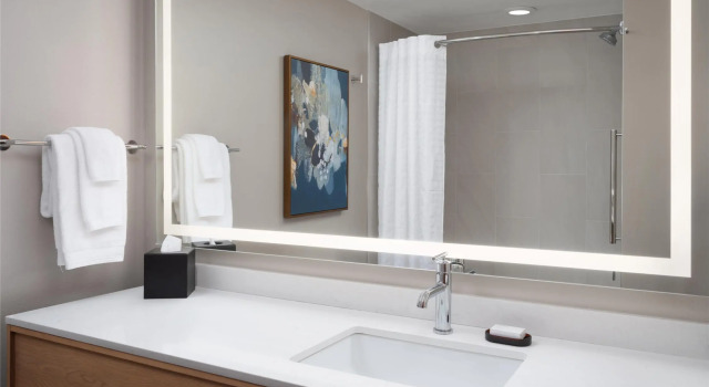 Двухместный люкс Premium Embassy Suites by Hilton Franklin Cool Spring